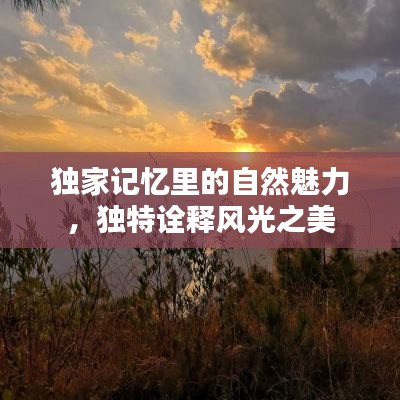 交货现场 第136页