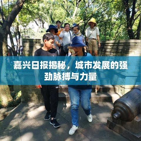 一石二鸟 第3页