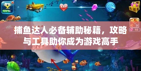 捕鱼达人必备辅助秘籍，攻略与工具助你成为游戏高手