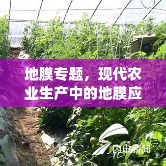 关于我们 第132页