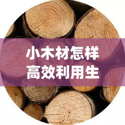 小木材怎样高效利用生长：木材如何 