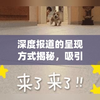 深度报道的呈现方式揭秘，吸引眼球的标题创作之道