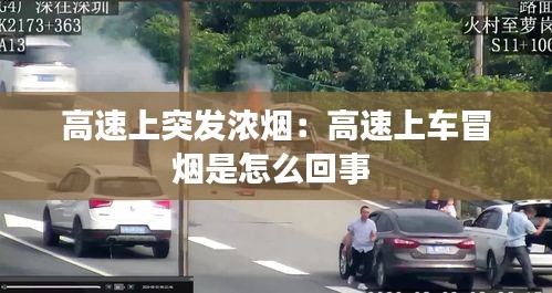 鸟骇鼠窜 第3页