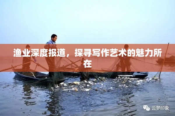 渔业深度报道，探寻写作艺术的魅力所在