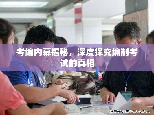 别出新意 第3页
