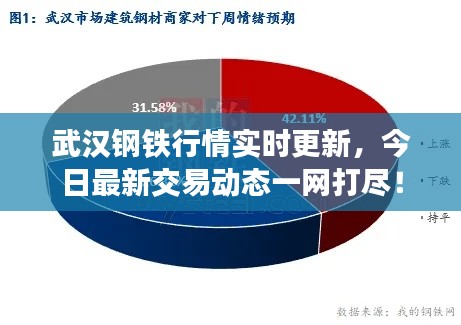 武汉钢铁行情实时更新，今日最新交易动态一网打尽！