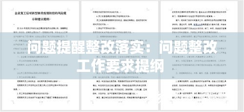 问题提醒整改落实：问题整改工作要求提纲 