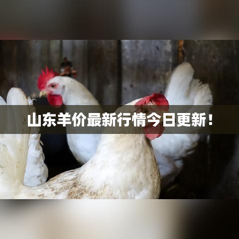 在线留言 第118页