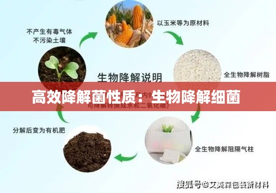 高效降解菌性质：生物降解细菌 