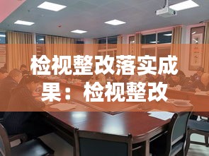 检视整改落实成果：检视整改落实情况对照检查 