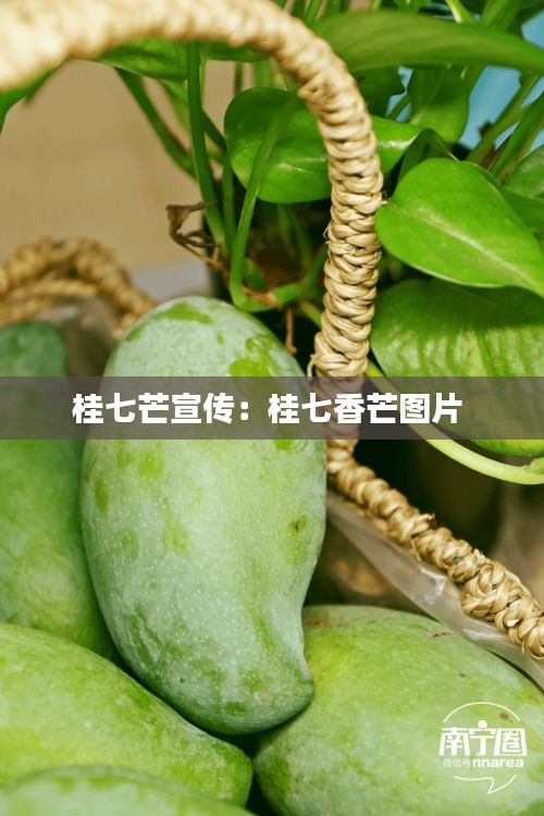 不堪造就 第2页