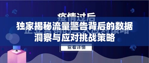 独家揭秘流量警告背后的数据洞察与应对挑战策略