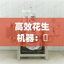 高效花生机器：岀花生机器那家好 