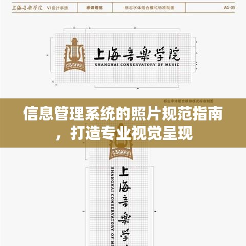 信息管理系统的照片规范指南，打造专业视觉呈现