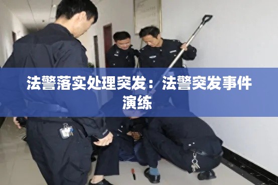 法警落实处理突发：法警突发事件演练 