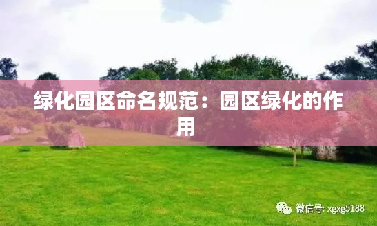 绿化园区命名规范：园区绿化的作用 