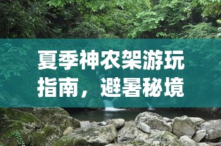 鸟语花香 第2页