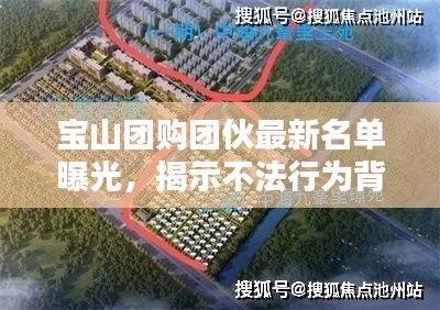 宝山团购团伙最新名单曝光，揭示不法行为背后的真相揭秘