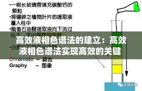 高效液相色谱法的建立：高效液相色谱法实现高效的关键 