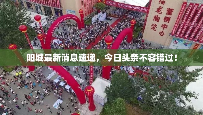 阳城最新消息速递，今日头条不容错过！
