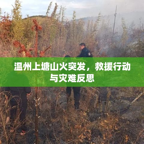 温州上塘山火突发，救援行动与灾难反思