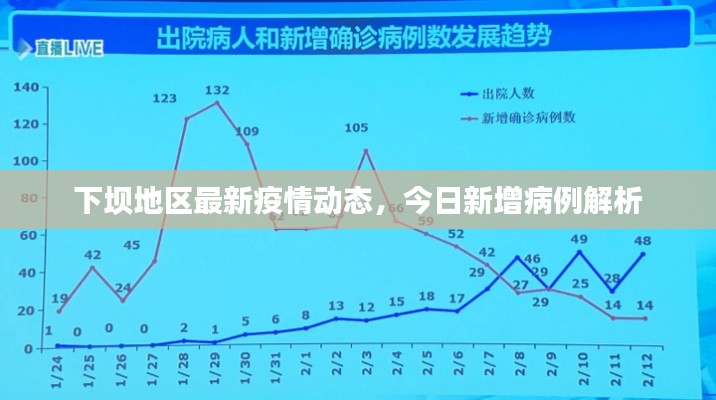 飞奇钩货 第2页