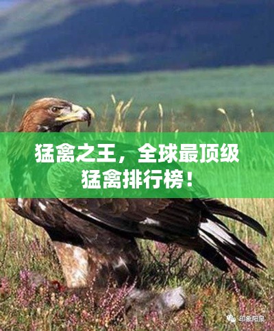 靡颜腻理 第2页