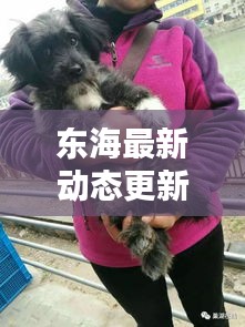 东海最新动态更新，今日消息一网打尽！