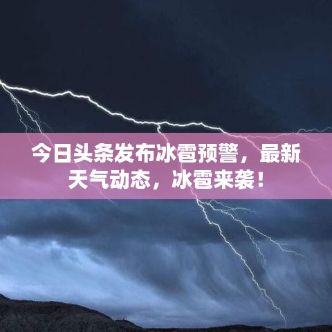 忠心耿耿 第2页