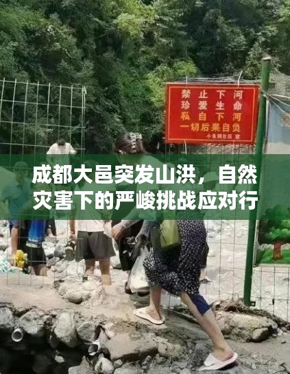 成都大邑突发山洪，自然灾害下的严峻挑战应对行动
