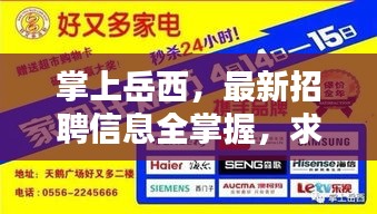 chiyulongniao 第3页