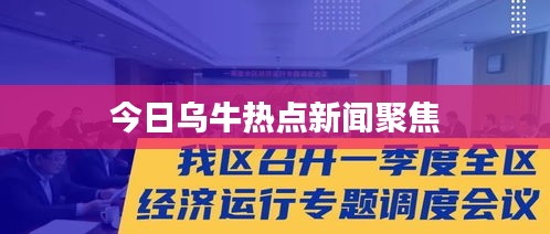 今日乌牛热点新闻聚焦