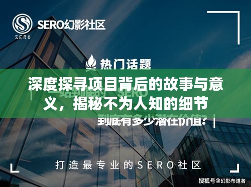 深度探寻项目背后的故事与意义，揭秘不为人知的细节