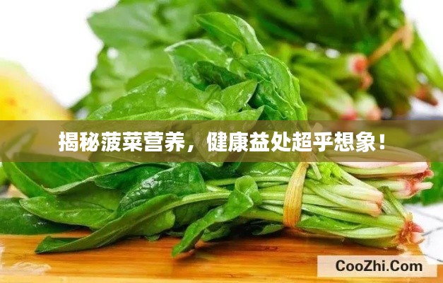 揭秘菠菜营养，健康益处超乎想象！