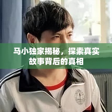 马小独家揭秘，探索真实故事背后的真相