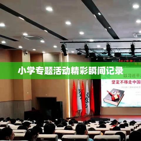 小学专题活动精彩瞬间记录