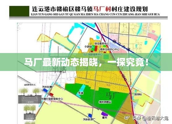马厂最新动态揭晓，一探究竟！