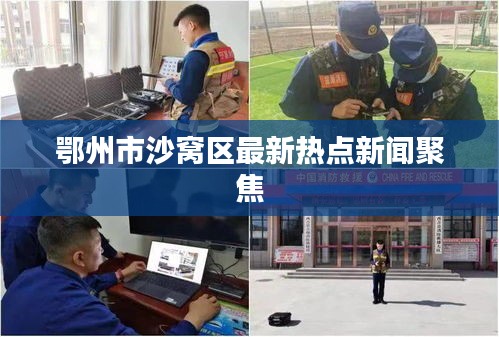 草间求活
