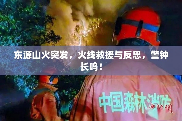 穷鸟入怀