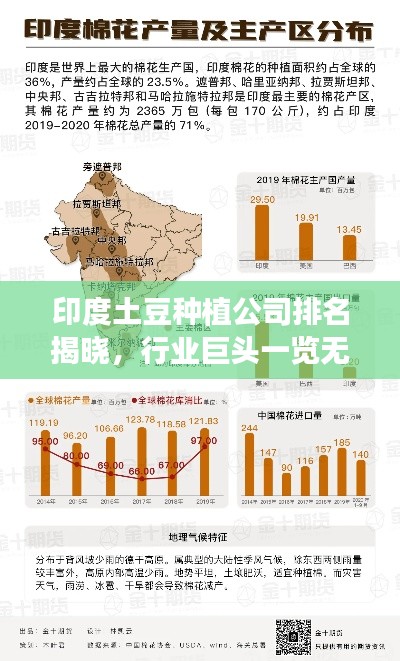 印度土豆种植公司排名揭晓，行业巨头一览无余！