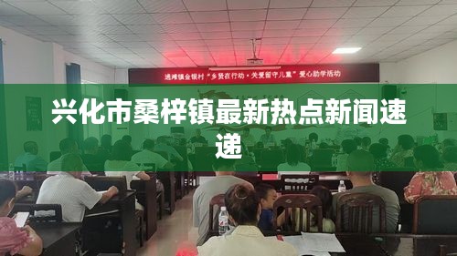 兴化市桑梓镇最新热点新闻速递