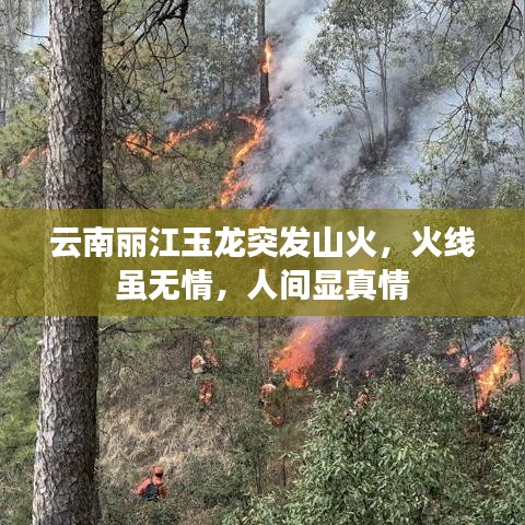 云南丽江玉龙突发山火，火线虽无情，人间显真情