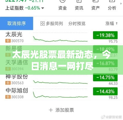 越鸟南栖