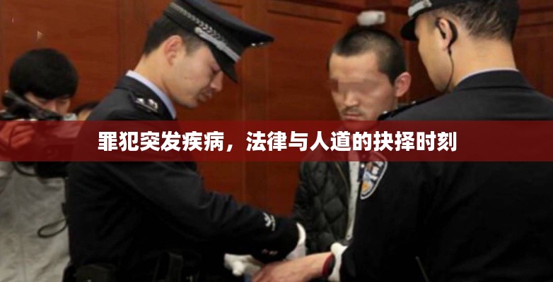 贵出贱收