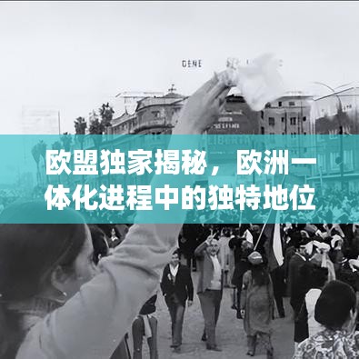 手不释卷