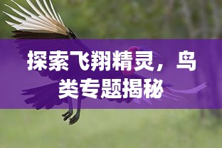 回眸最初