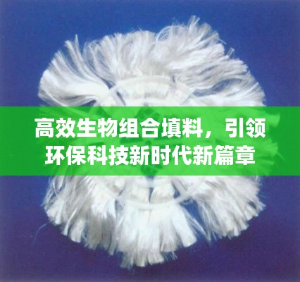 寥若晨星