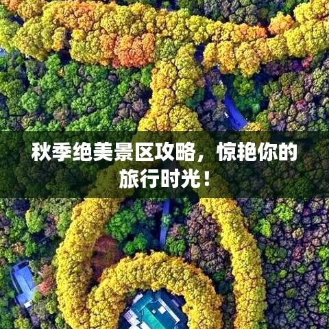 飞奇钩货