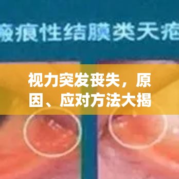 刬旧谋新