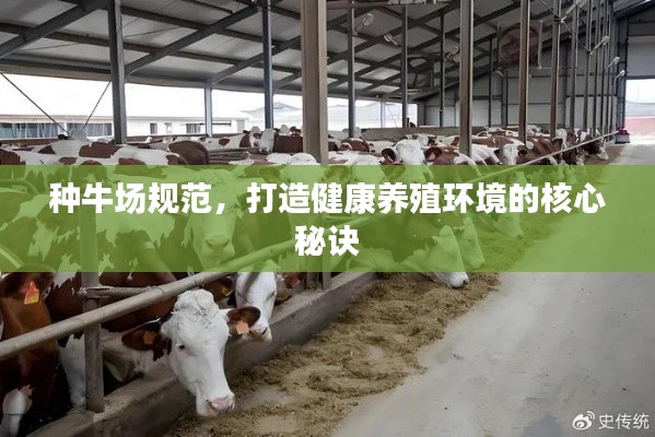集思广益